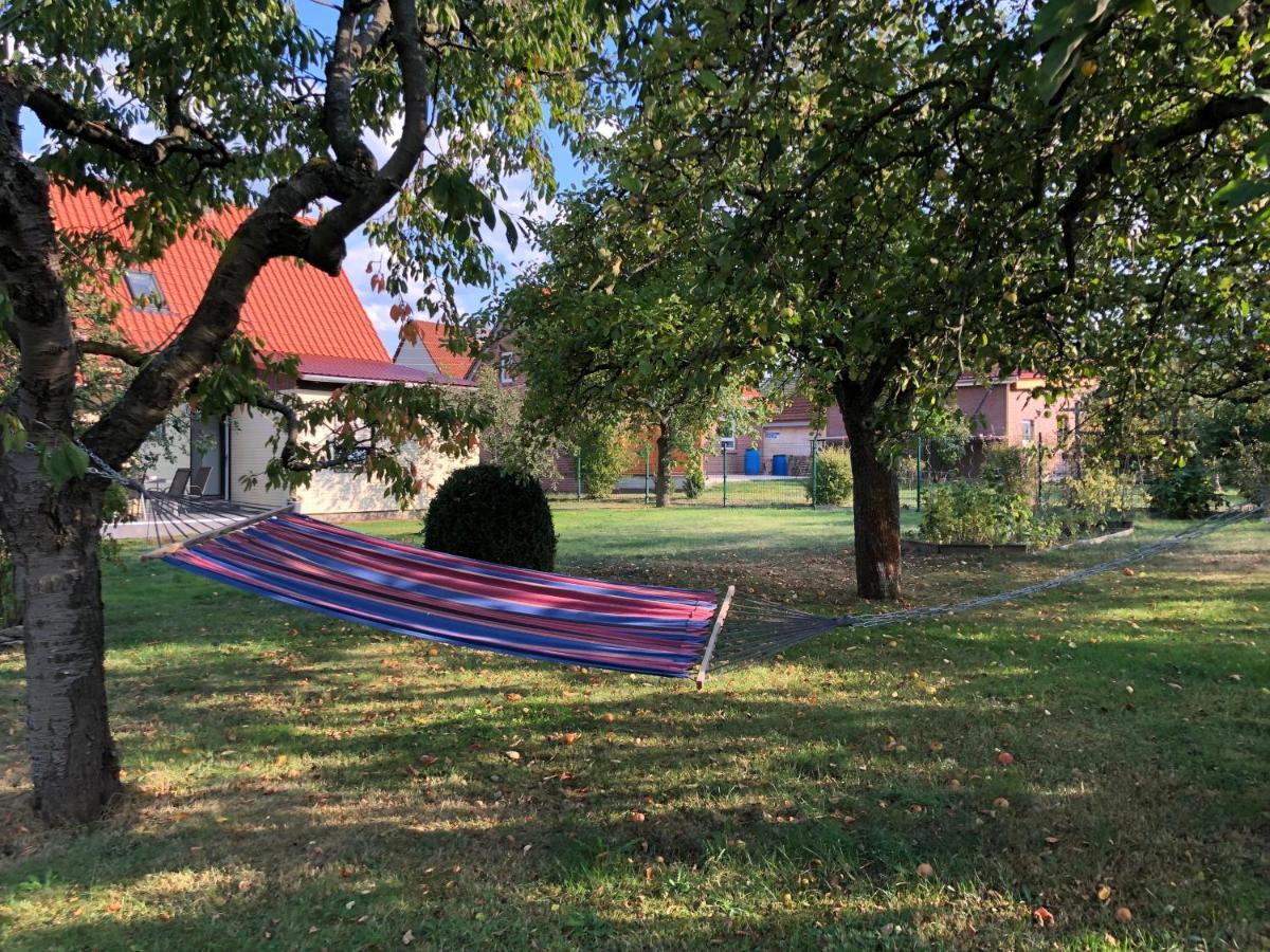 Ferienhaus Heider Darlingerode 외부 사진
